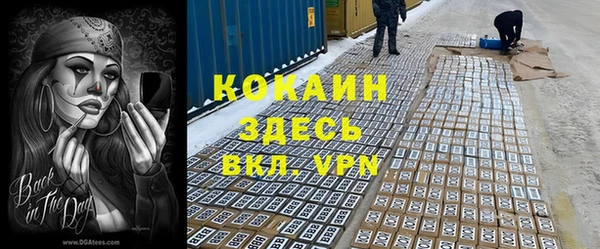 гидра Алексеевка