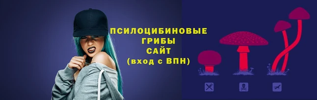 соль ск Алзамай