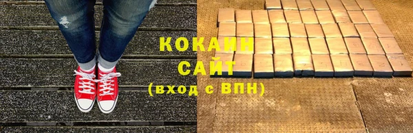 ПСИЛОЦИБИНОВЫЕ ГРИБЫ Абаза