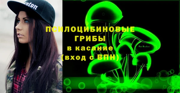 ПСИЛОЦИБИНОВЫЕ ГРИБЫ Абаза