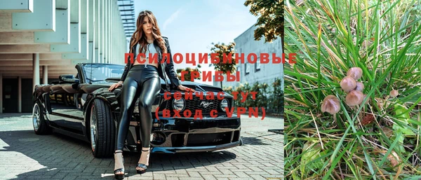 ПСИЛОЦИБИНОВЫЕ ГРИБЫ Абаза