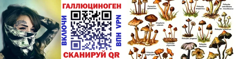 Псилоцибиновые грибы Magic Shrooms  где найти   маркетплейс клад  Клинцы 