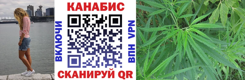 Марихуана ГИДРОПОН  где найти   Клинцы 